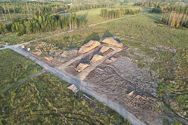 Zákon o odlesňování zdraží potraviny, vyšších cen se už bojí i Němci