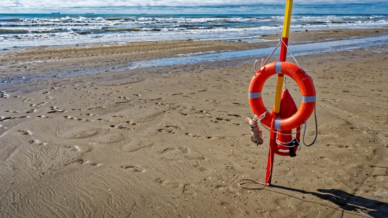 Moře na populární pláž vyplavilo obrovskou mršinu. Expert odhalil, o jakého živočicha se jedná