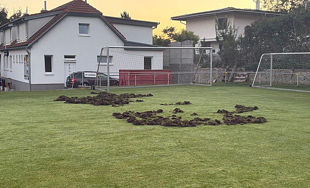 Divočákům zachutnalo na fotbalovém hřišti, rozryli ho podruhé za čtyři dny
