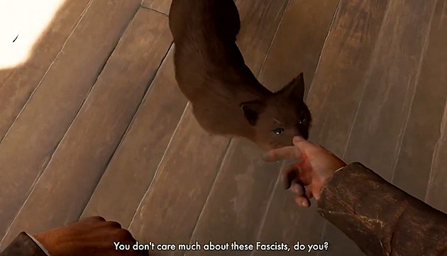 Ty se o ty fašisty moc nezajímáš, že? Promluva ke kočce vyvolala bouři