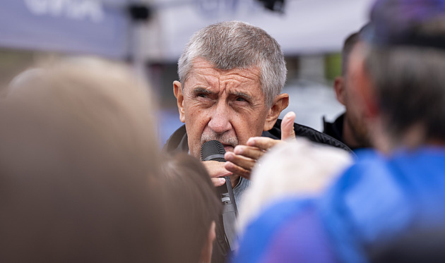 Pokud vyhraje ANO, nejlepší by byla jeho koalice s vládní stranou, míní ekonomové