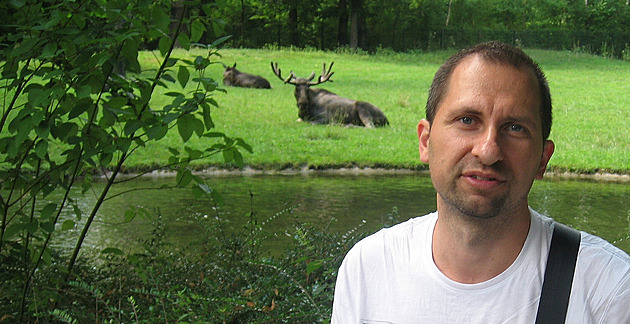 Opravdu žijí i v Česku. Dopravní značka „Pozor, los!“ u nás chybí, říká ochranář