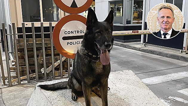 Ve Španělsku se psem odhaloval migranty i drogy. Přístavy byly peklo, líčí policista