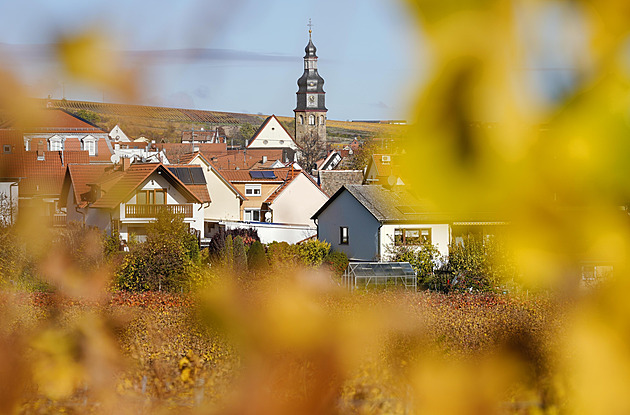 AfD chce udělit Trumpovi čestné občanství v rodné hroudě jeho předků