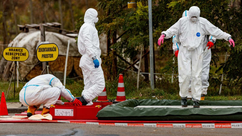 Ptačí chřipka řádí v Litomyšli: Nákaza zasáhla velkochov brojlerových kuřat