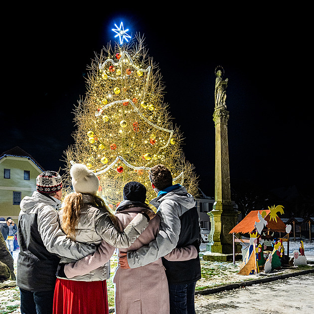 Takový vánoční strom jste ještě neviděli. Modřín na Náchodsku nemá žádné jehličí