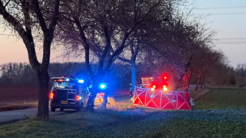 Hrůzná nehoda u Prahy: Řidič nepřežil náraz do stromu. Kolem příčiny úmrtí jsou nejasnosti