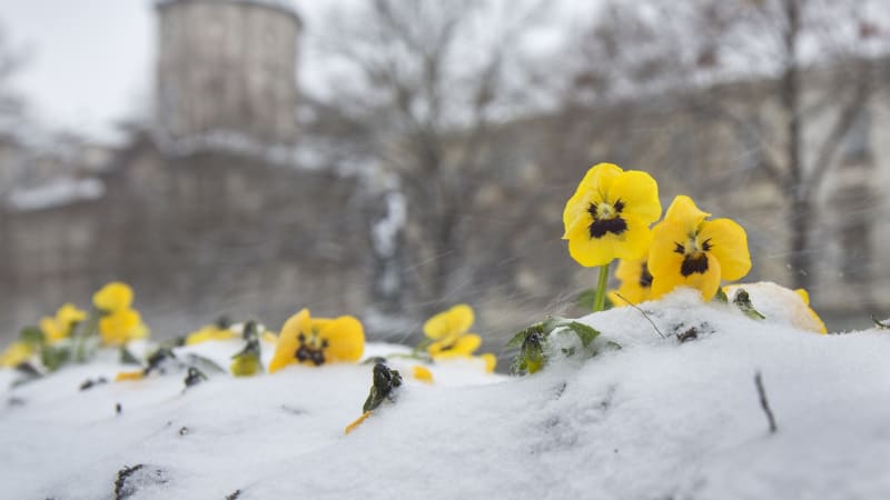 Slunce se loučí, ukazuje MAPA. Po teplém úterý a středě přijde zlom, nasněží až 30 cm