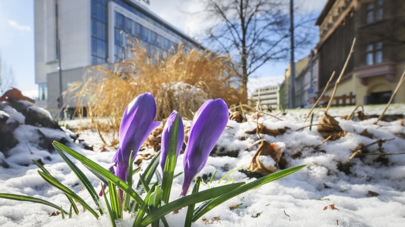 RADAR: Takřka 20 °C v Česku vystřídá až půl metru sněhu. Podívejte se, jak bude u vás