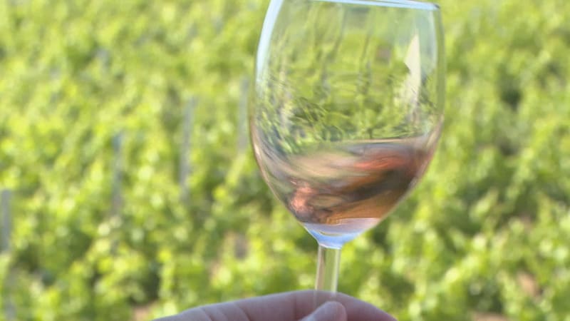 Alkoholem léčí úzkost každý pátý Čech. Odborníci varují před zhoršením symptomů