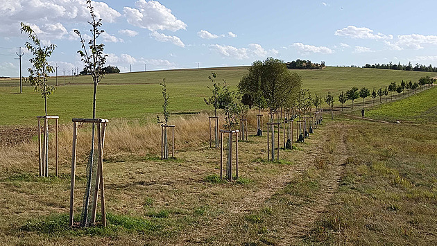 Na jihlavské Skalce vyroste Alej Svobody, pomůže zadržovat vodu a připomene Havla