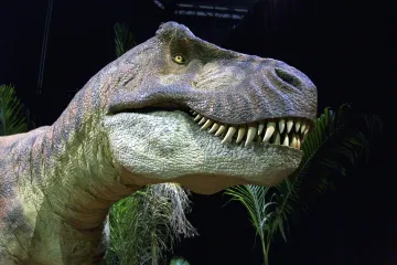 Tyranosauři měli v podstatě stejnou tělesnou teplotu jako lidé